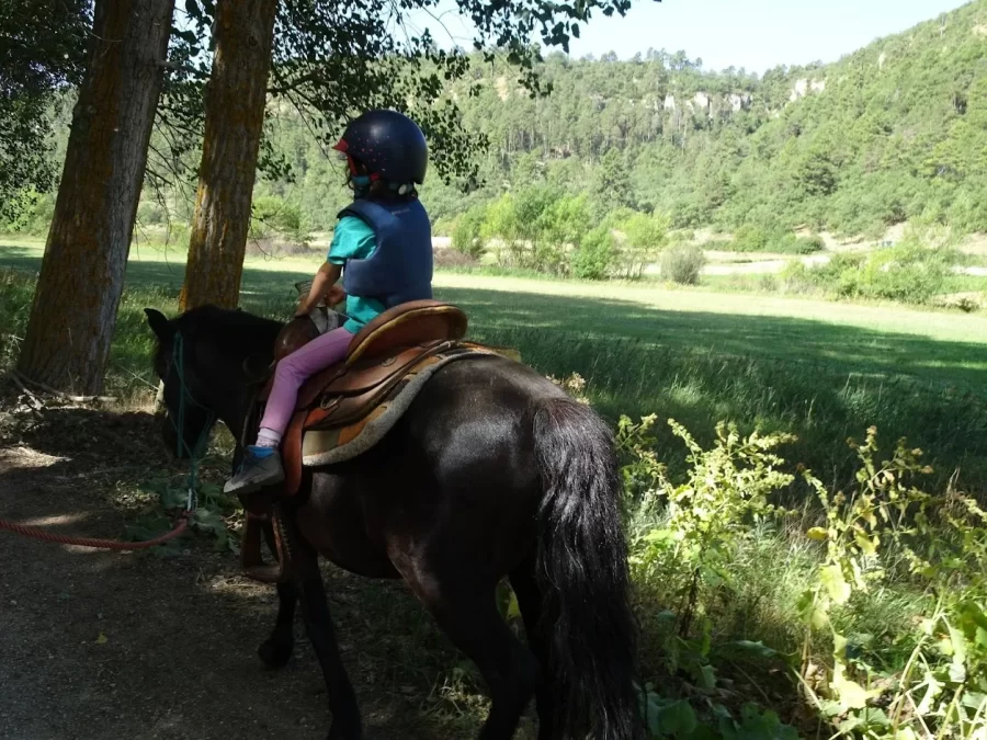 caballos moscardón albarracín